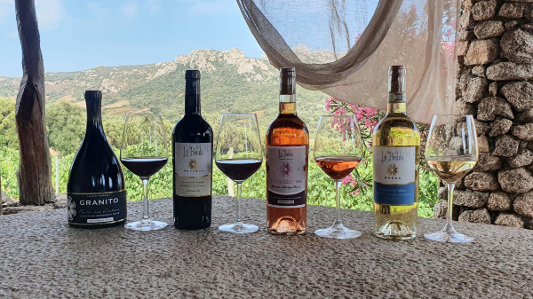 Vino sardo: la produzione di Cannonau e Vermentino di Lu Beddu. Calici con vino e di fianco le bottiglie su un tavolo di granito.
